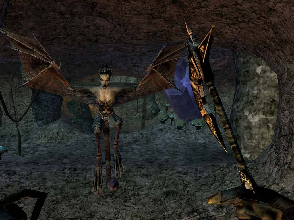 The Elder Scrolls III: Morrowind GOTY Edition Steam GLOBAL - Image 4