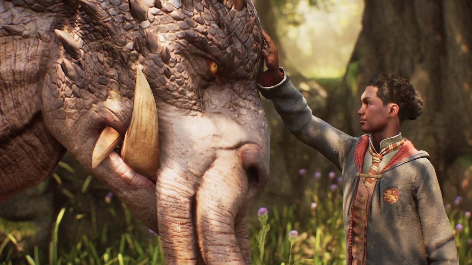 Hogwarts Legacy | Deluxe Edition (PC) - Steam Key - EUROPE / NORTH AMERICA - Image 6